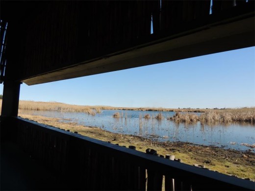 View from one of the five hides.