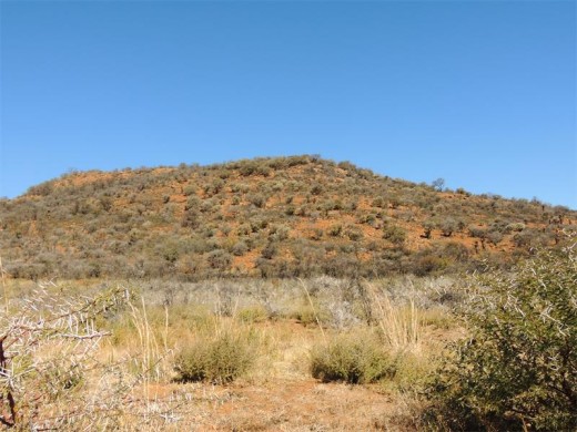 The red ridges of the Suikerbosrand range.