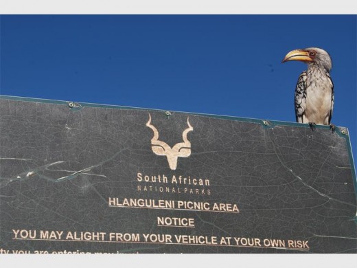 Welcome to Hlanguleni Picnic Area .