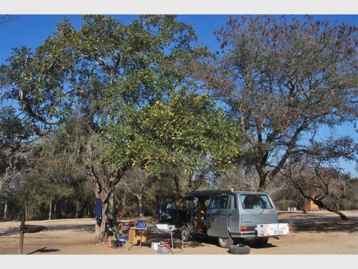 A peaceful afternoon in Maroela Rest camp.