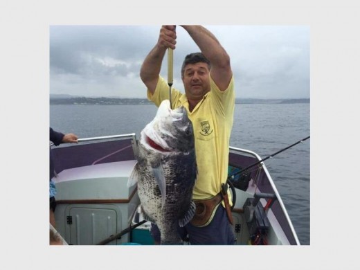 Cracker: Trevor Nicholas of Leisure Bay holds up his big musselcracker, a 14kg beauty.