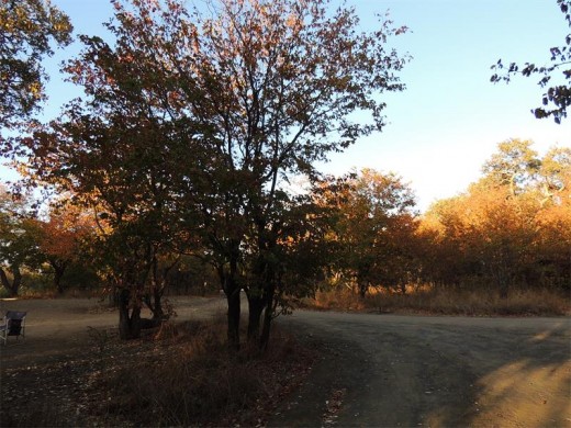 Tsendze offers large, well-shaded, private camp sites and plenty of rustic charm.