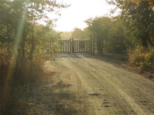 Gate opening time, Tsendze,