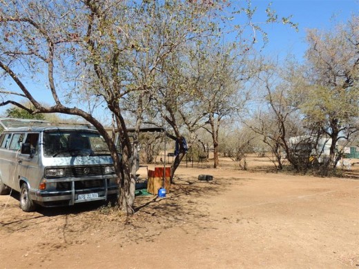 The trees in the camping area at Satara were just starting to sprout their spring leaves.