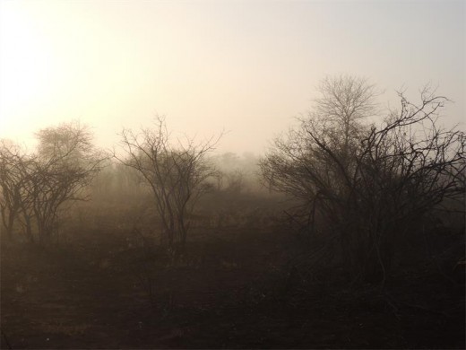 Misty Satara morning.