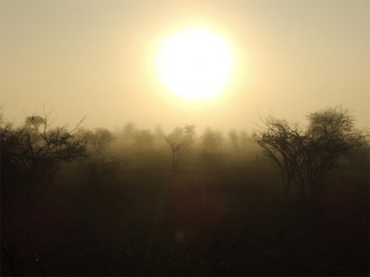 Sunrise over the dusty plains.