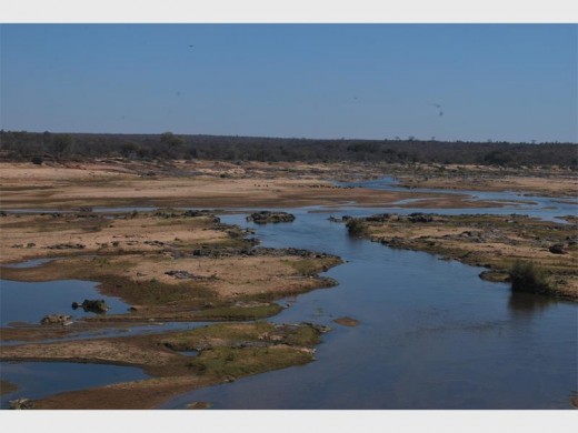 The lazy, sandy Olifants River, one of Kruger's magnificent waterways.