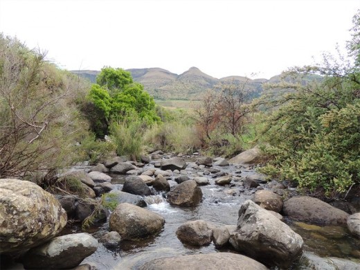 Mountain view and a bubbly little river.