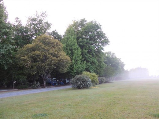 Misty morning at Mountain Splendour Camping and Caravan Park.