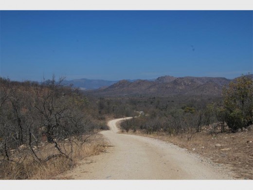Beautiful byway near Berg-en-Dal.