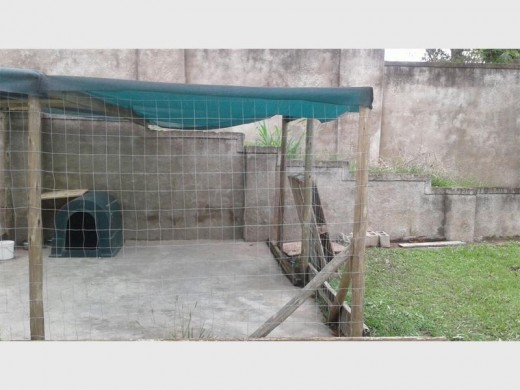 After: The cleaned enclosure the SPCA officers inspected 24 hours later.