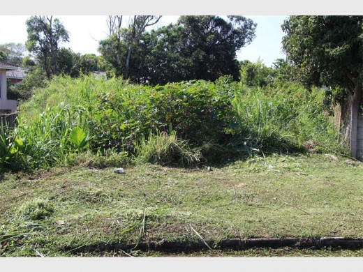 This vacant plot in Hansen Road, Mbango, has not been cut in years. 