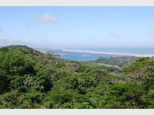 View of Amatigulu estuary from a vegetated dune.