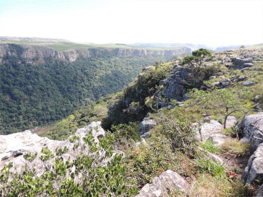 The rugged reserve is situated in the Umtamvuna River gorge.