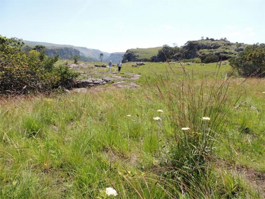 Umtamvuna Nature Reserve is best explored on foot.