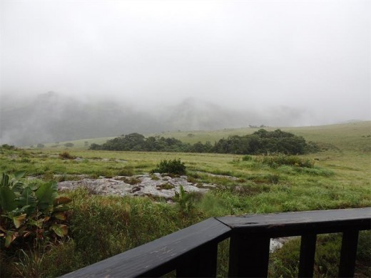 Magical misty day in Umtamvuna Nature reserve.