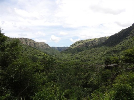 The towering walls of the gorge.