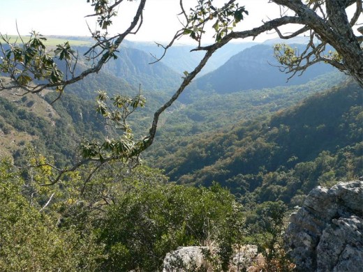 View of the gorge from the Baboon Trail viewsite,