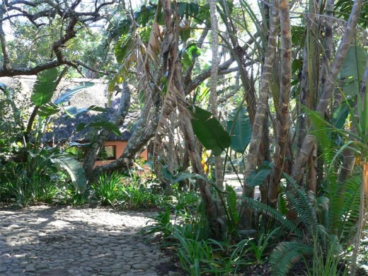 The Oribi Gorge Nature Reserve hutted camp.