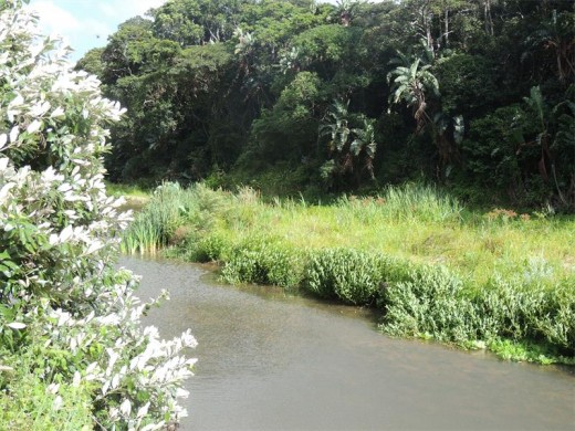 The Ivungu River.