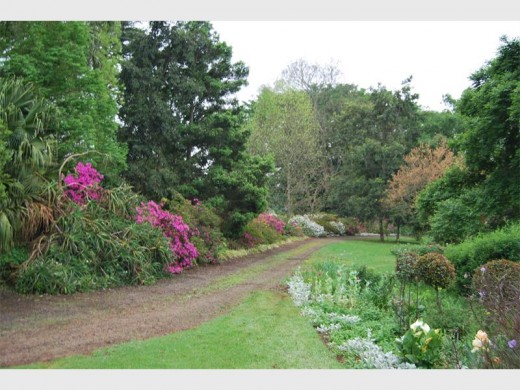 the garden features lovely old trees and flowering shrubs.