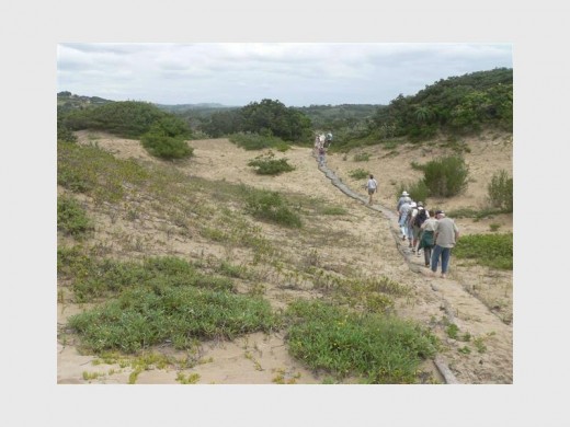 The unspoilt dunes of Mpenjati.