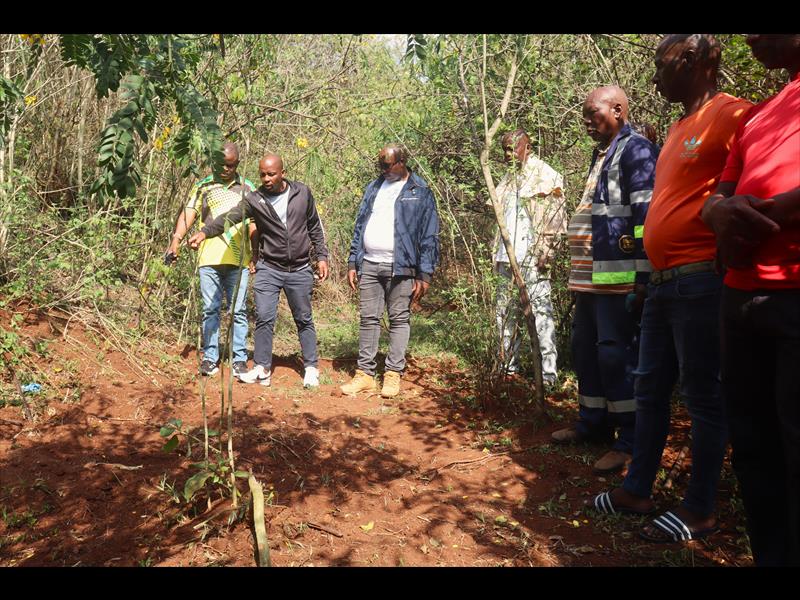 Murdered mother and son buried in shallow grave in Umzumbe | South ...