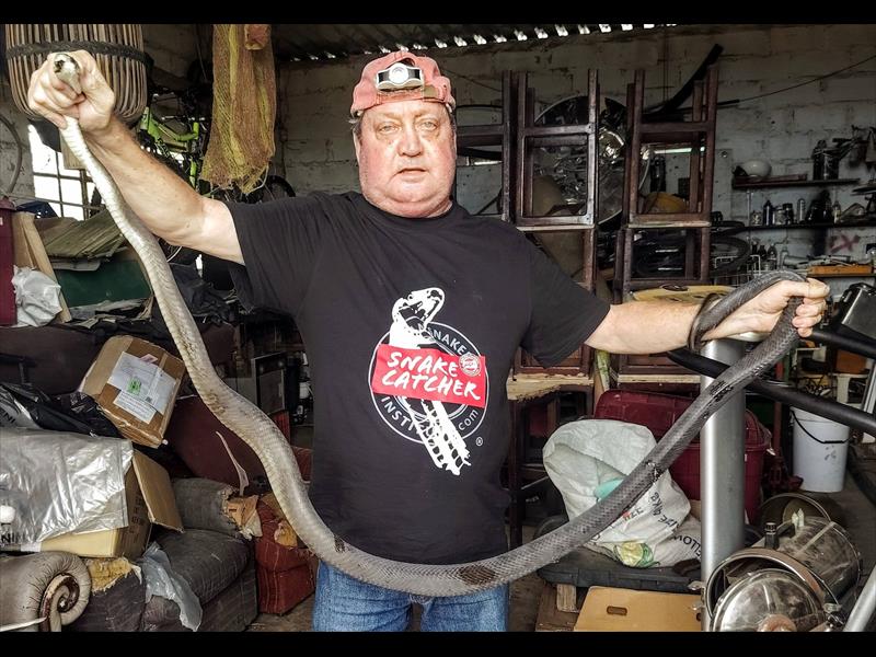 2026 starts with a black mamba for South Coast snake catcher