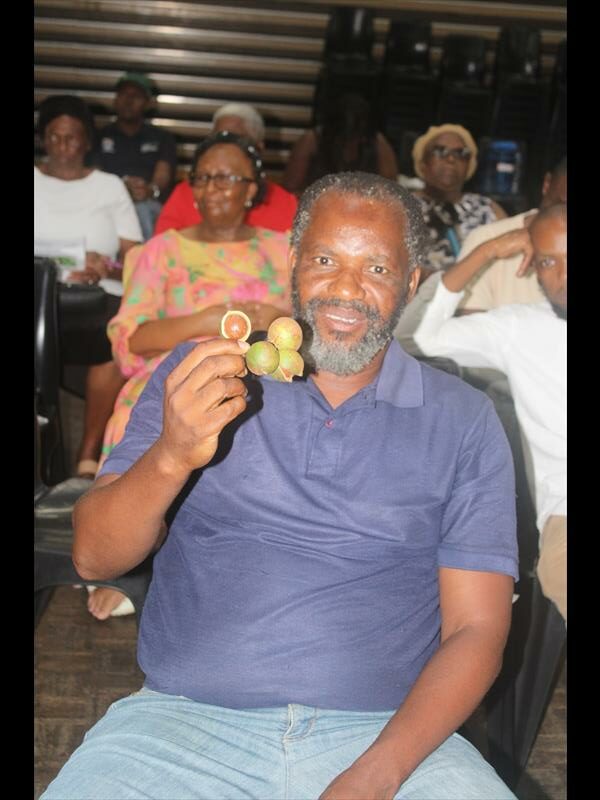 Ideas shared at gathering of macadamia nut farmers in Port Shepstone