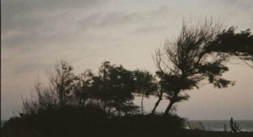 Image: Pexels