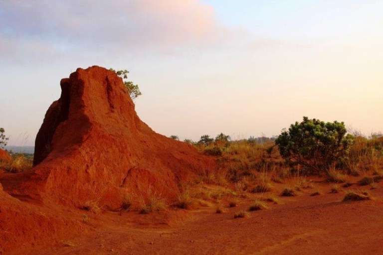 Red Nature Desert