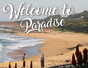 Explore the South Coast