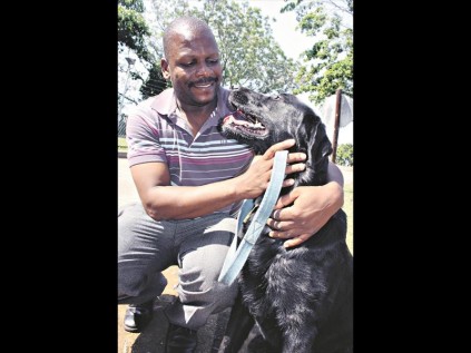 It's great to be back, buddy! A relieved Sergeant A Mthembu is reunited with his crime fighting partner Tjokkie at the Empangeni K9 Unit on Friday                                                      PHOTO: Ronelle Ramsamy