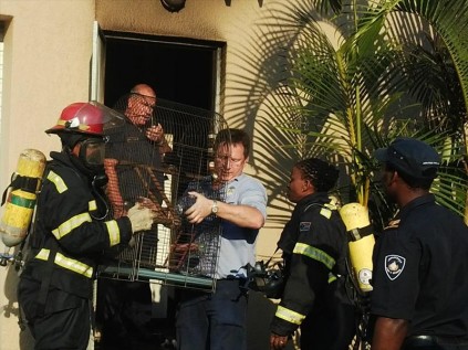 Huge relief all round and applause for firemen as Lulu is brought to safety