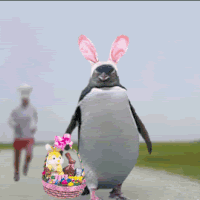 giphy (1)