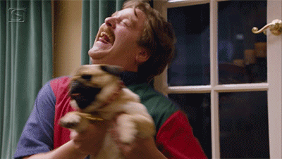 You get to spend time with your lovable pet