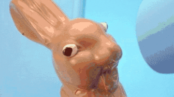 Eat your Easter bunny before it melts in the Zululand heat