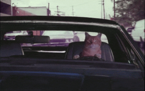 Bad Driver