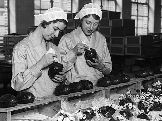 cadburyhistory