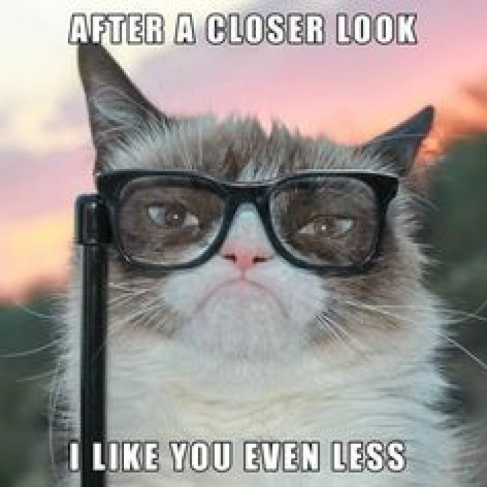 grumpy-cat-reaction-after-wearing-glasses-for-a-closer-look