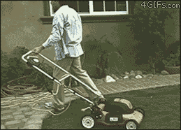 giphy (2)