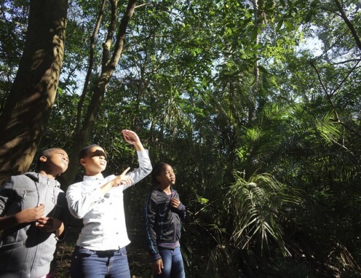 John Wesley learners tour the Twinstreams forest in Mtunzini