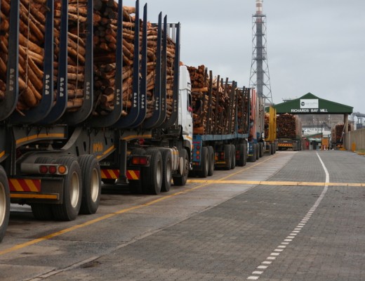 d0903woodchips_45147_tn