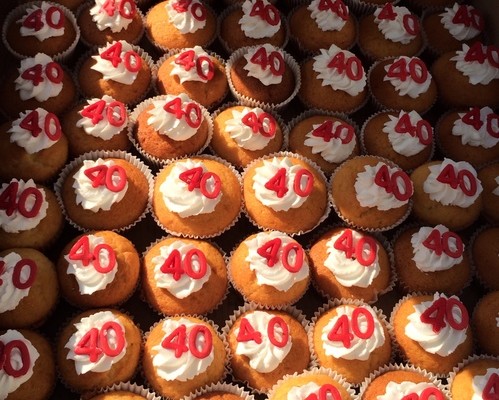 drbmtitans3_88628_tn