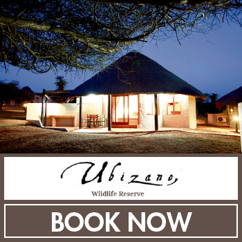 Ubizane 1