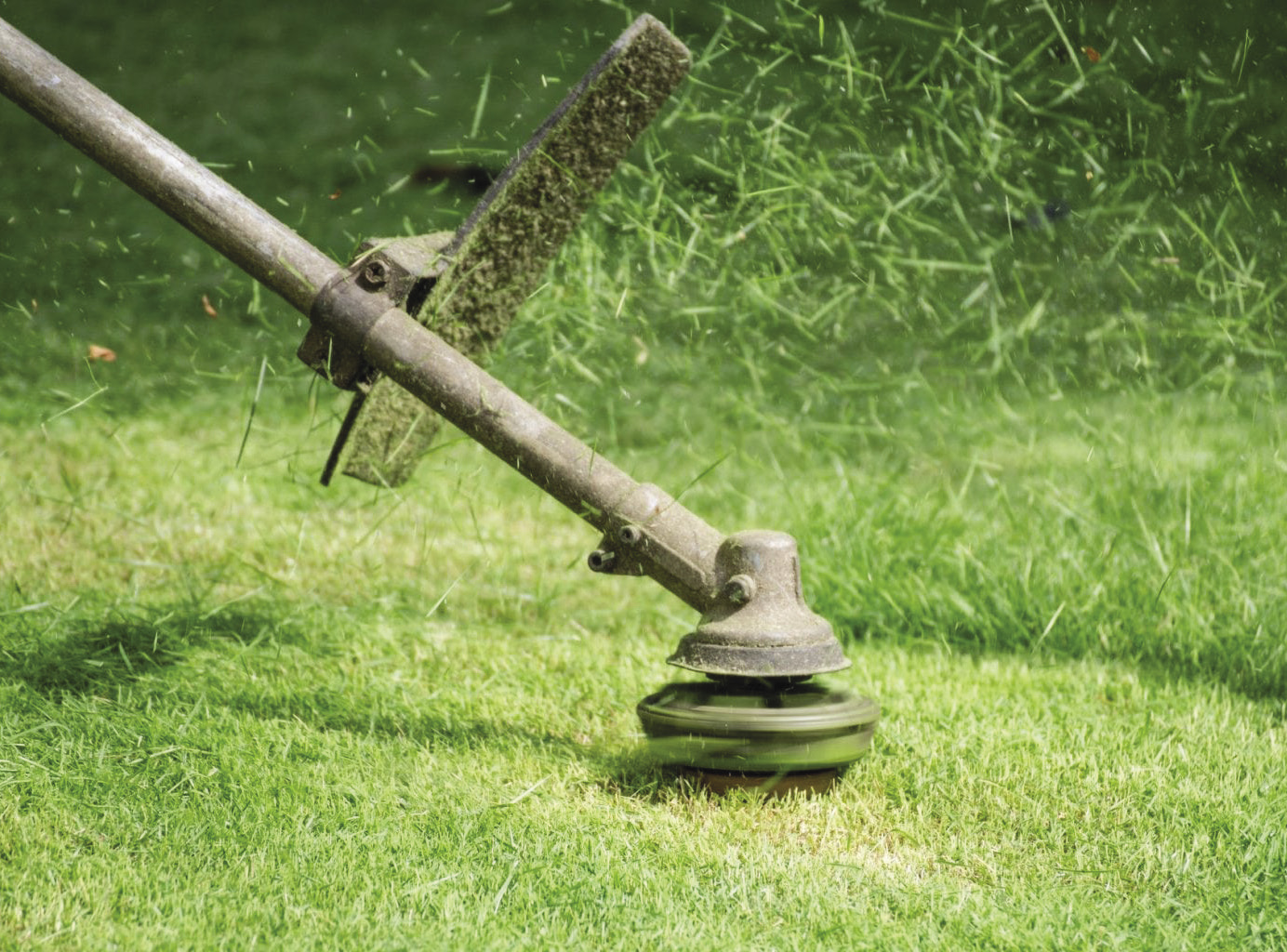 SZF10531_007_1534717077-1