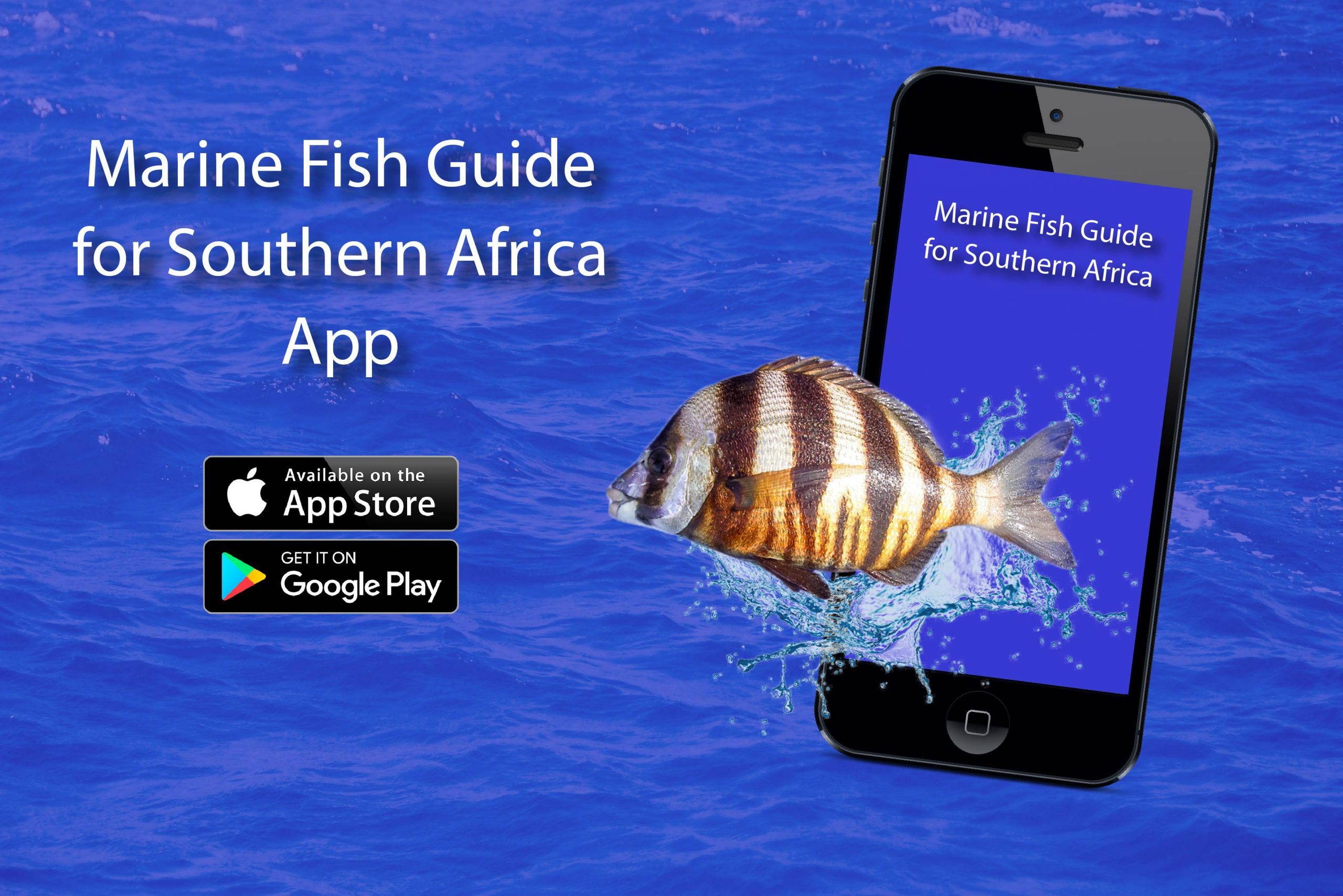 Fish info at your fingertips with new app | Zululand Observer
