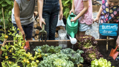 Children are in the garden watering the plants