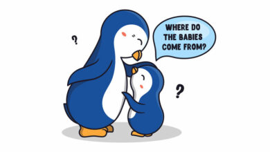 "Mommy, where do babies come from?"