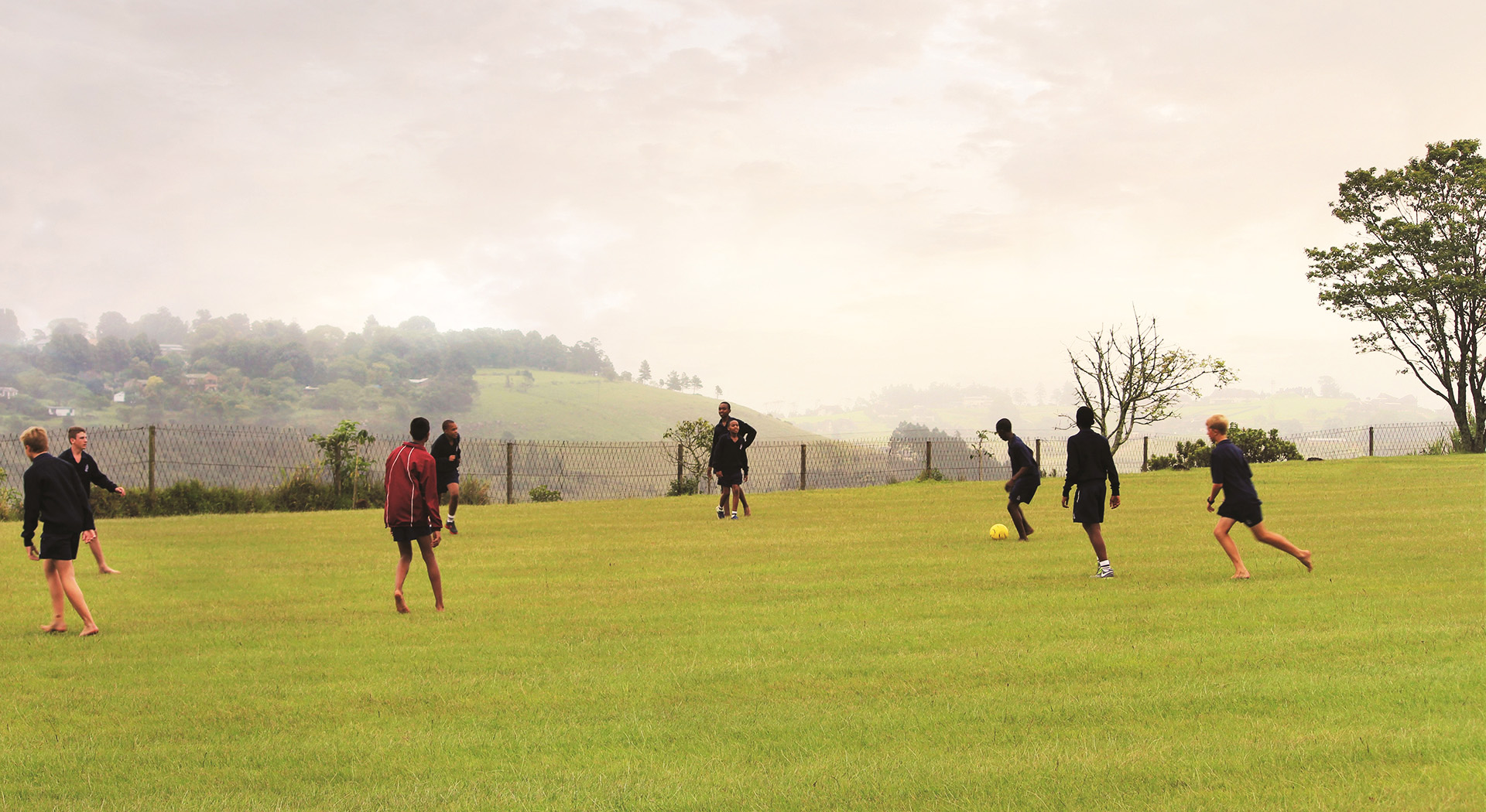 IMG_1163 Hopkins cmyk